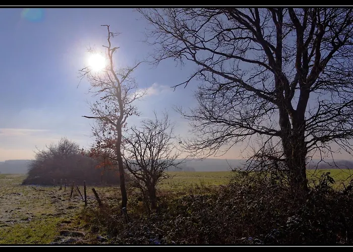 Villa Du Bonheur Met Sauna En Jacuzzi Somme-Leuze